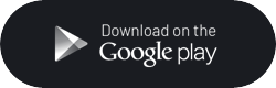 google (Demo)